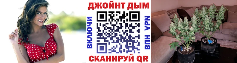 хочу   Олонец  Каннабис сатива 